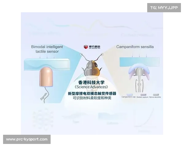 香港科技大学研发打击手套 利用传感器实时震动纠正动作提升运动表现 香港科技大学研发打击手套 利用传感器实时震动纠正动作提升运动表现